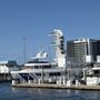 Photo of Carrie B Harbor Tours