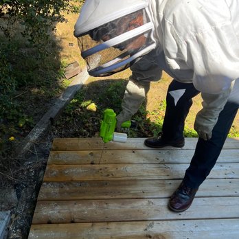 ASM Pest Control - Pest Control Near Me - Surrey, British Columbia ASM Pest Control - Pest Control Near Me - Surrey, British Columbia