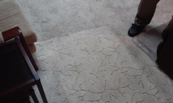 Dirt Free Carpet & Tile Cleaning