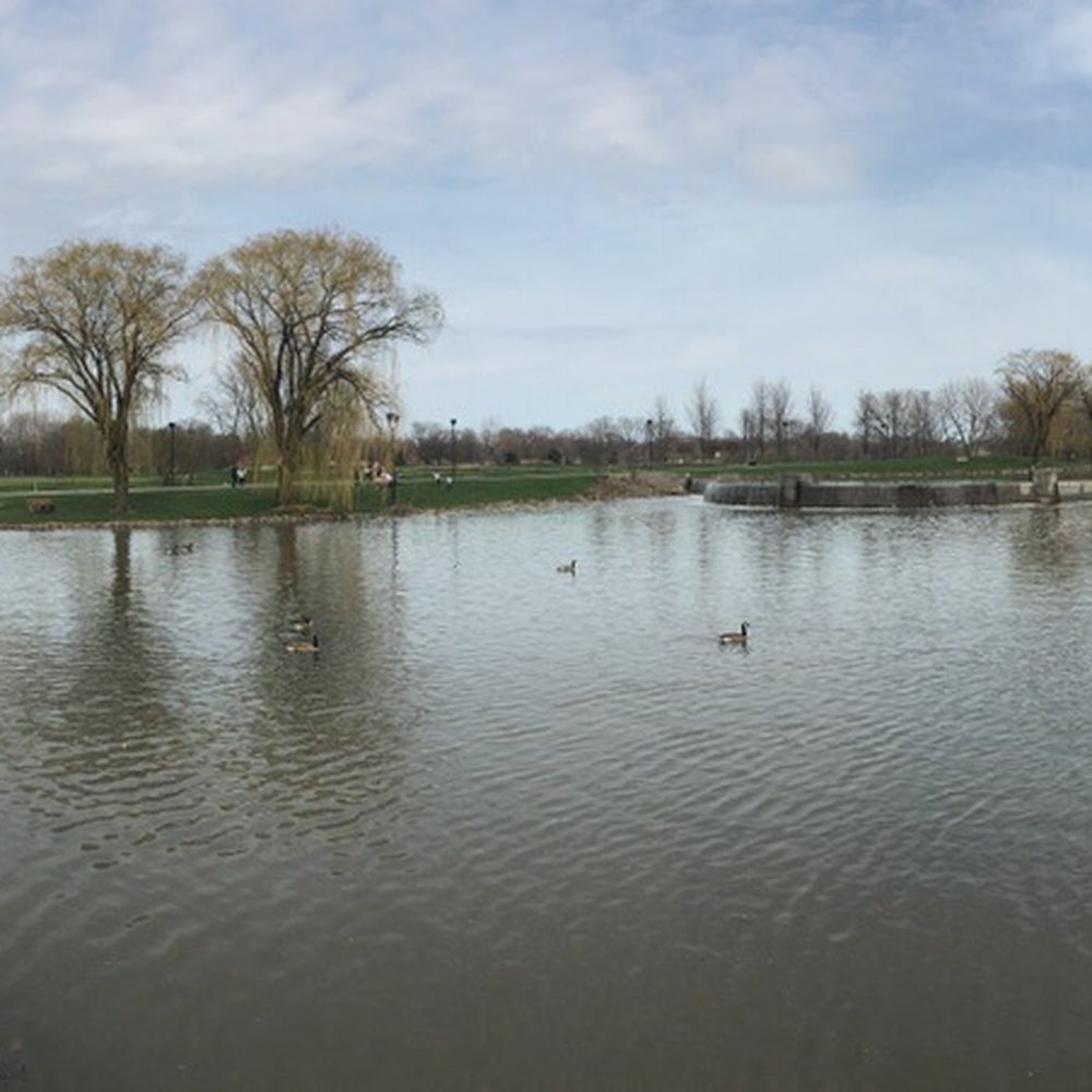 Harry 'Bus' Yourell Off Stream Aeration Pool - Pano shot - Parks Near Me - Worth, Illinois Harry 'Bus' Yourell Off Stream Aeration Pool - Pano shot - Parks Near Me - Worth, Illinois
