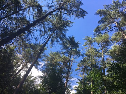 Lake George / Saratoga KOA Journey by null