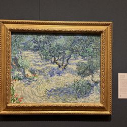 The Nelson-Atkins Museum of Art - Van Gogh