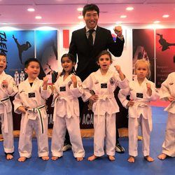 Han's Taekwondo Academy - Little Tiger Classes (4 & 5 years old)