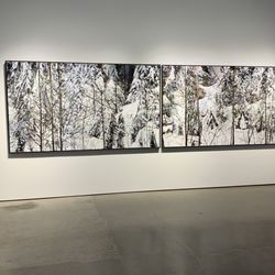 Equinox Gallery - Winter diptych by Gordon Smith.