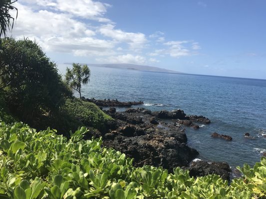 Maui What a Wonderful World Bed and Breakfast by null
