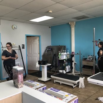 Fancy Paws Pet Styling - Open Grooming Area Bathing all other techs here for you to view:-) - Pet Groomers Near Me - Port St. Lucie, Florida