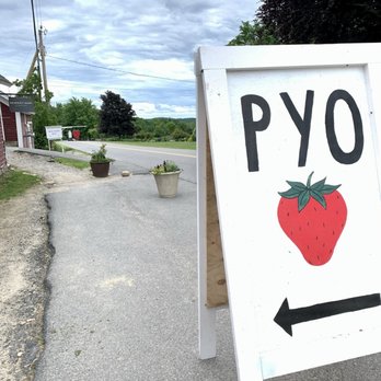Benedikt Dairy - CSA members can choose strawberries as part of their weekly haul- as long as they are available.  Get there early! - CSA Near Me - Goffstown, New Hampshire