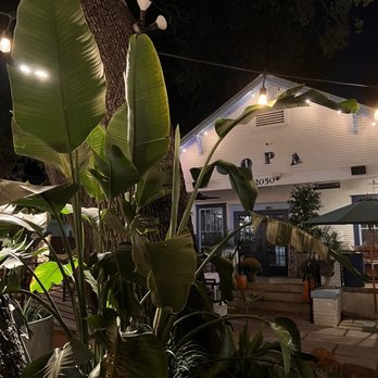 Opa! Greek Cafe - Wine Bars Near Me - Austin, Texas