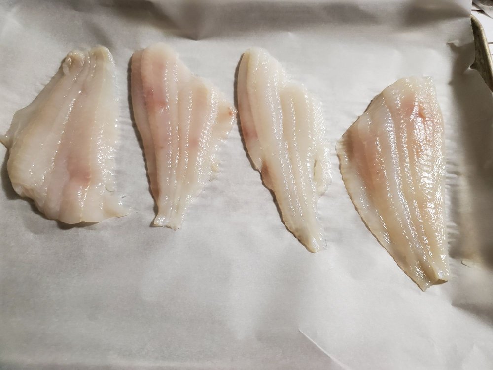 KOSHER FISH MARKET Updated August 2024 16 Photos 4802 SW 28th Ter