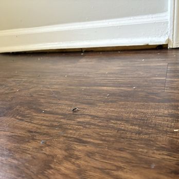 Premier Property Management Group - Gaps between baseboards and actually floor - Property Management Near Me - Germantown, Tennessee Premier Property Management Group - Gaps between baseboards and actually floor - Property Management Near Me - Germantown, Tennessee