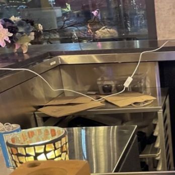 Citizen Crust - Pizza Near Me - Foxborough, Massachusetts