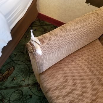Stay Wise Inns - Hotels Near Me - Montrose, Colorado Stay Wise Inns - Hotels Near Me - Montrose, Colorado