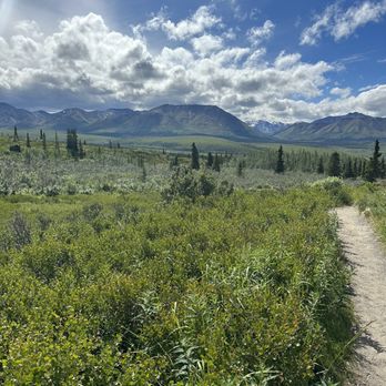 Denali National Park - Hiking Near Me - Mckinley Park, Alaska