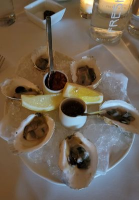 The Frisky Oyster by null