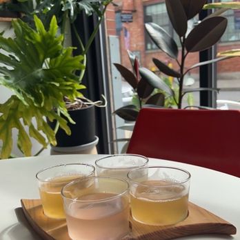 Katboocha Booch Bar - Kombucha flight - Kombucha Near Me - Rochester, New York