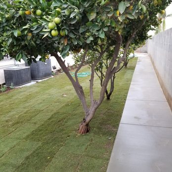 Hugo's Gardening - Landscaping Near Me - La Habra, California Hugo's Gardening - Landscaping Near Me - La Habra, California