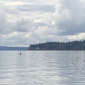 Puget Sound Express - Orca - Boat Charters Near Me - Port Townsend, Washington