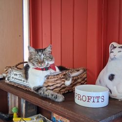 Talk Story Bookstore - I am the Boss - Natalie