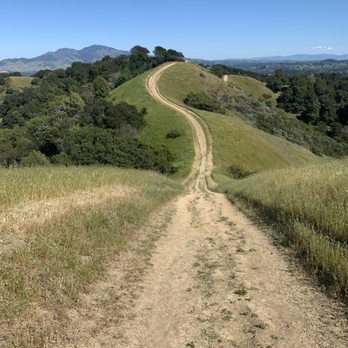 Briones Regional Park - Parks Near Me - Martinez, California Briones Regional Park - Parks Near Me - Martinez, California