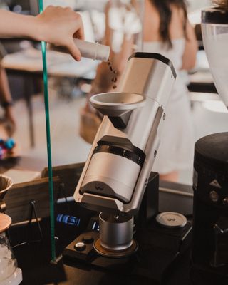 The Boy & The Bear - Coffee Roastery by null