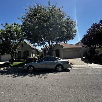 H G Tree Service - After - Tree Services Near Me H G Tree Service - After - Tree Services Near Me