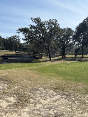 PENSCOLA NAVY BASE AC READ GOLF COURSE - Updated June 2026 - 24 Photos ...