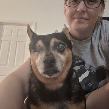 All You Need Pet Care - Rico and Nikki - Pet Sitting Near Me All You Need Pet Care - Rico and Nikki - Pet Sitting Near Me