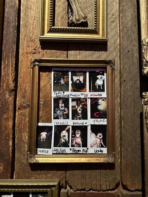 Pepp's Pub by null