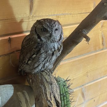 Zoo Boise - Zoos Near Me - Boise, Idaho