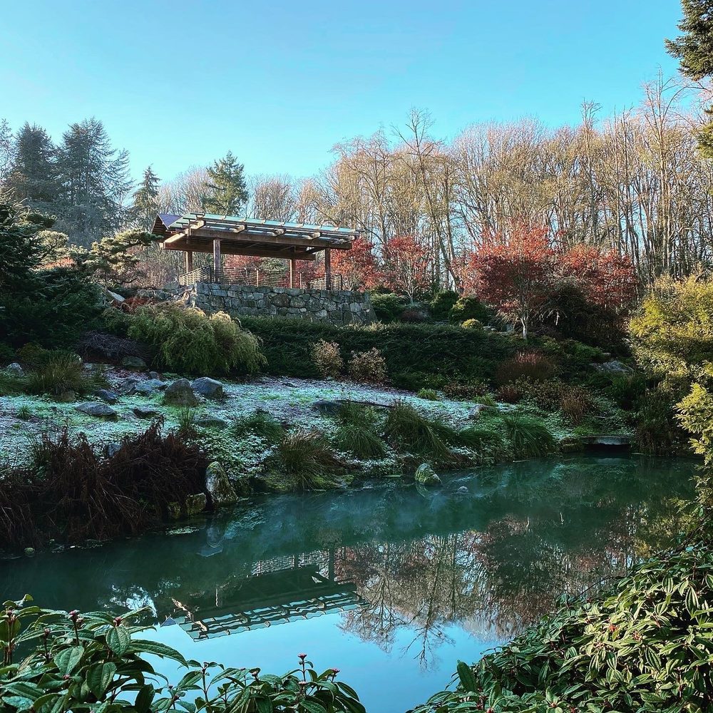Kubota Garden - Frosted garden - Botanical Gardens Near Me - Seattle, Washington Kubota Garden - Frosted garden - Botanical Gardens Near Me - Seattle, Washington
