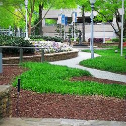 Tower Place Park
