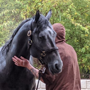 Galway Downs Equestrian Center - Grayson Thunder Barn 1 - Horseback Riding Near Me - Temecula, California