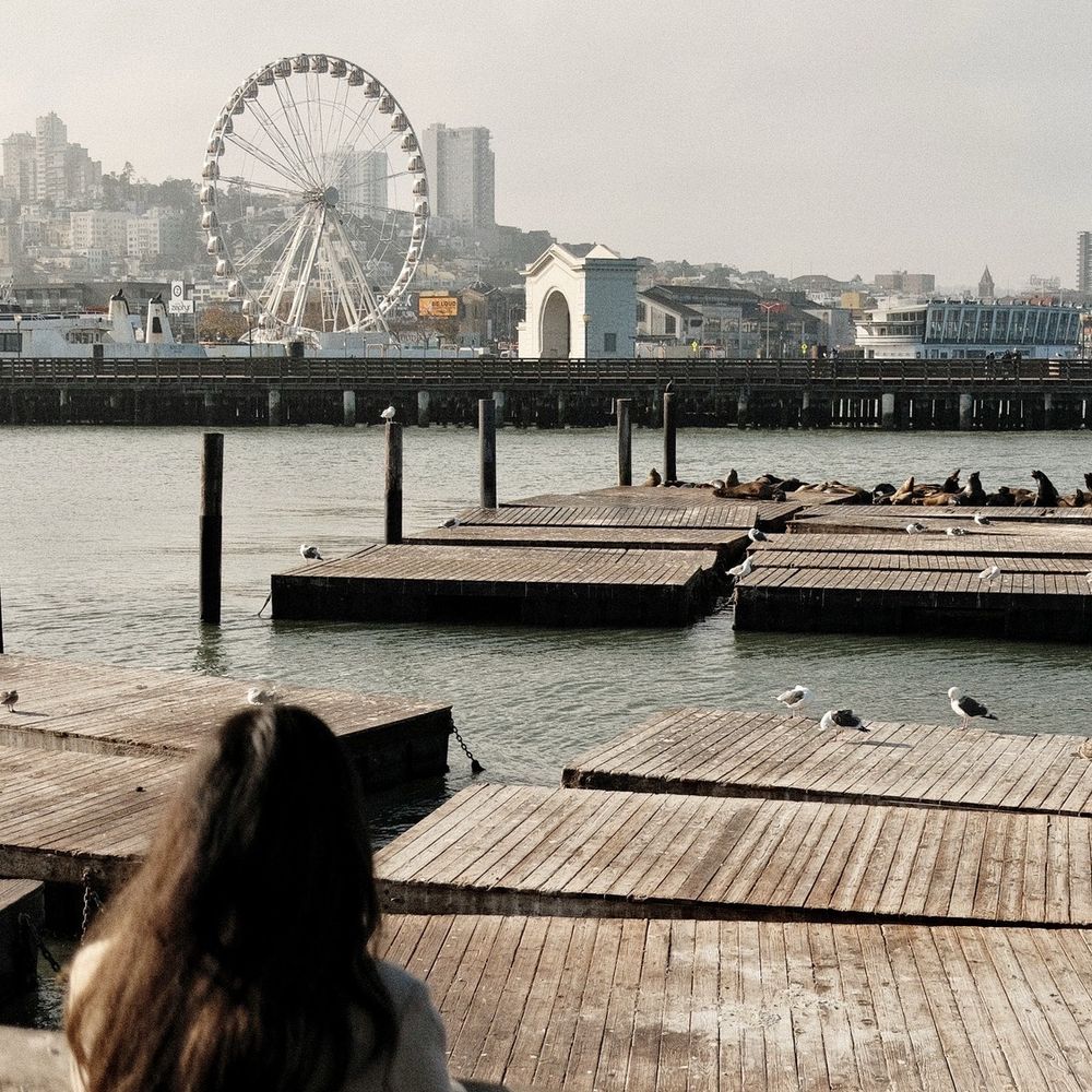 PIER 39 - Shopping Centers Near Me - San Francisco, California