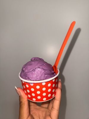 Scoops On Tap by null