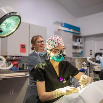 VCA Northwest Veterinary Specialists - Emergency Pet Hospital Near Me - Clackamas, Oregon VCA Northwest Veterinary Specialists - Emergency Pet Hospital Near Me - Clackamas, Oregon