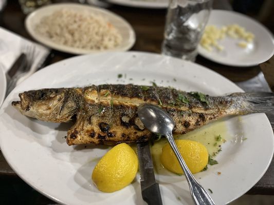 Agnanti by null Agnanti by null