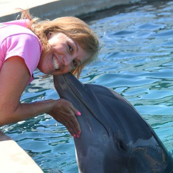 Gulf World - Dolphin kiss - Amusement Parks Near Me - Panama City Beach, Florida Gulf World - Dolphin kiss - Amusement Parks Near Me - Panama City Beach, Florida