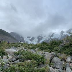 Packer Expeditions