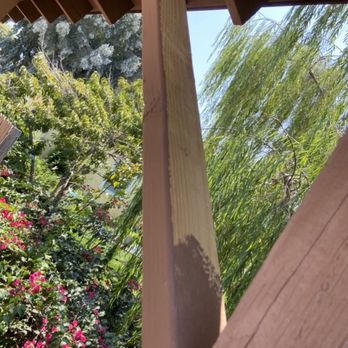 Pest Patrol - Didn't bother to finish painting the wood - Pest Control Near Me - San Diego, California