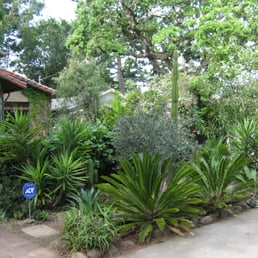 A water-wise front yard, installed by JMS A water-wise front yard, installed by JMS