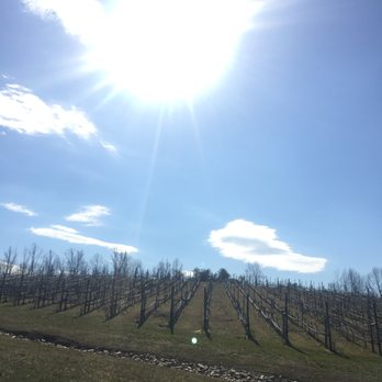 Potomac Point Winery - Wineries Near Me - Stafford, Virginia