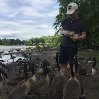 Silver Lake Park - Parks Near Me - Rochester, Minnesota Silver Lake Park - Parks Near Me - Rochester, Minnesota