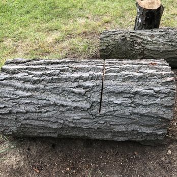 Mr. Tree - Tree Services Near Me Mr. Tree - Tree Services Near Me