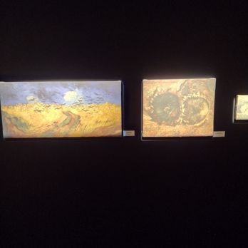 Van Gogh Exhibition - Art Galleries Near Me - Seattle, Washington Van Gogh Exhibition - Art Galleries Near Me - Seattle, Washington