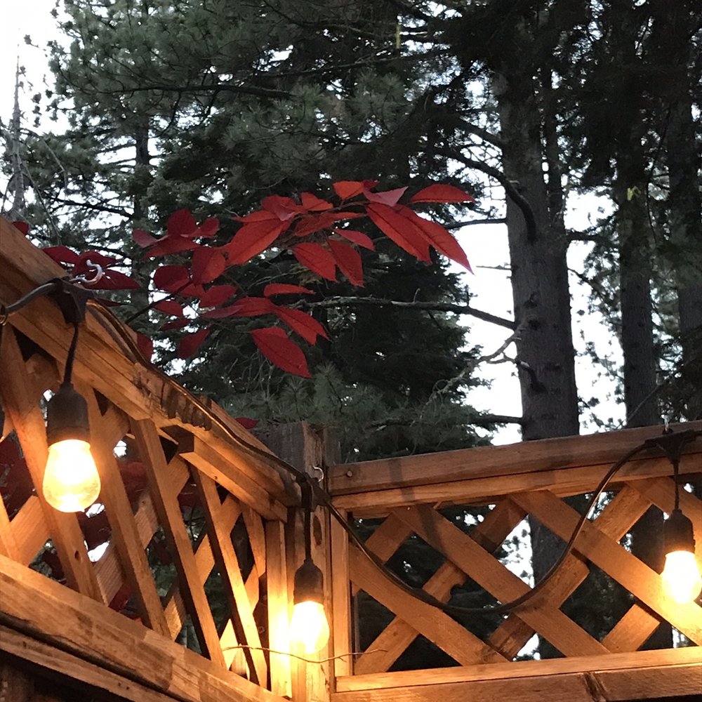 Spoon - Gorgeous view from the heated patio. - New American Near Me - Tahoe City, California Spoon - Gorgeous view from the heated patio. - New American Near Me - Tahoe City, California