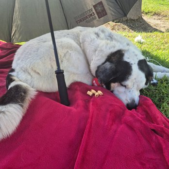 Veterinary Emergency Group - RIP White Dog. We love you so so much! - Emergency Pet Hospital Near Me - Anaheim, California