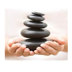 Healthy Life Solutions - Christine Alejandro
