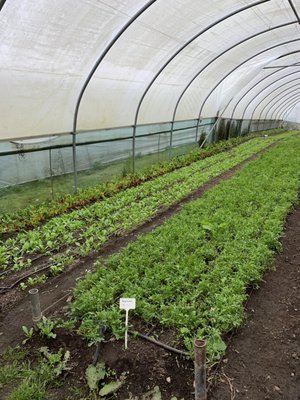 Low Sizergh Barn Farm Shop & Café by null