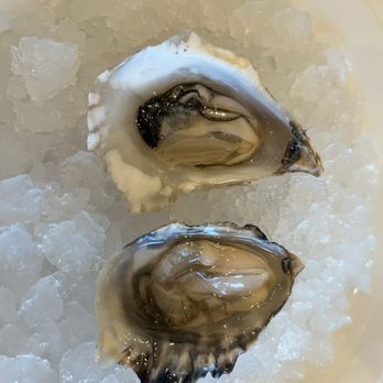 Terrapin Creek Cafe & Restaurant - Oyster - New American Near Me - Bodega Bay, California Terrapin Creek Cafe & Restaurant - Oyster - New American Near Me - Bodega Bay, California