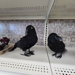 Michaels - Halloween stuff is out